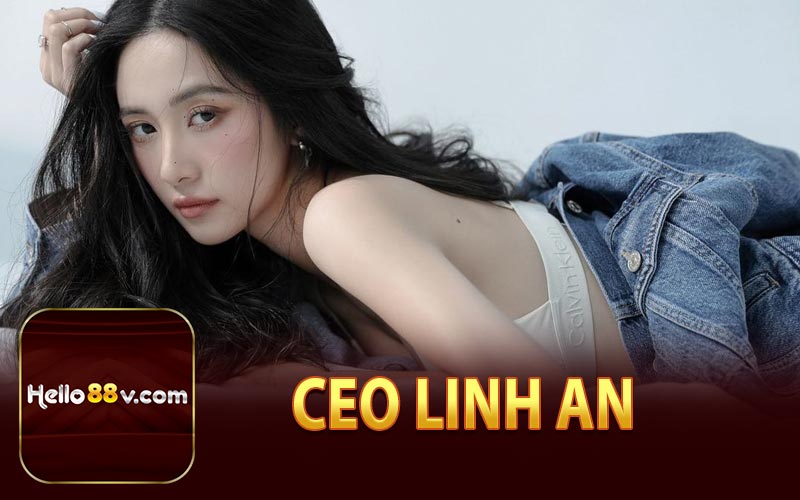 CEO Linh An