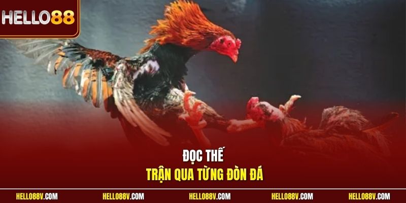 Đọc thế trận qua từng đòn đá