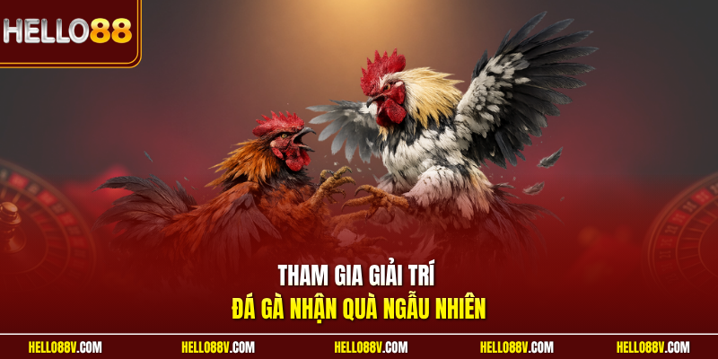 Tham gia giải trí đá gà nhận quà ngẫu nhiên